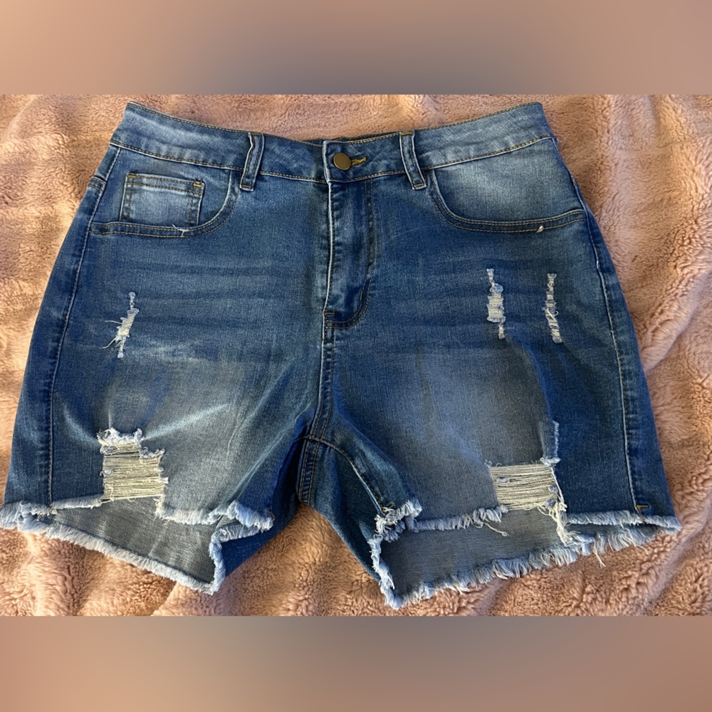 Distressed Raw Hem Stretch Denim Shorts – Women’s Large